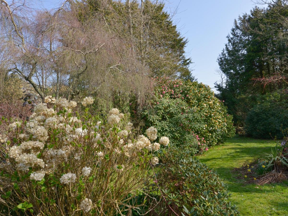 Lily Cottage Looe Buitenkant foto