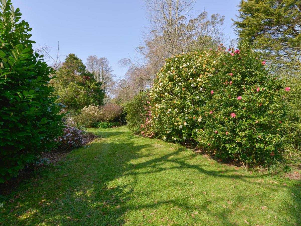 Lily Cottage Looe Buitenkant foto