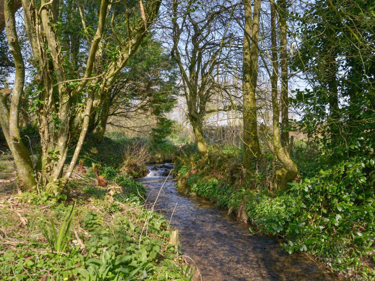 Lily Cottage Looe Buitenkant foto